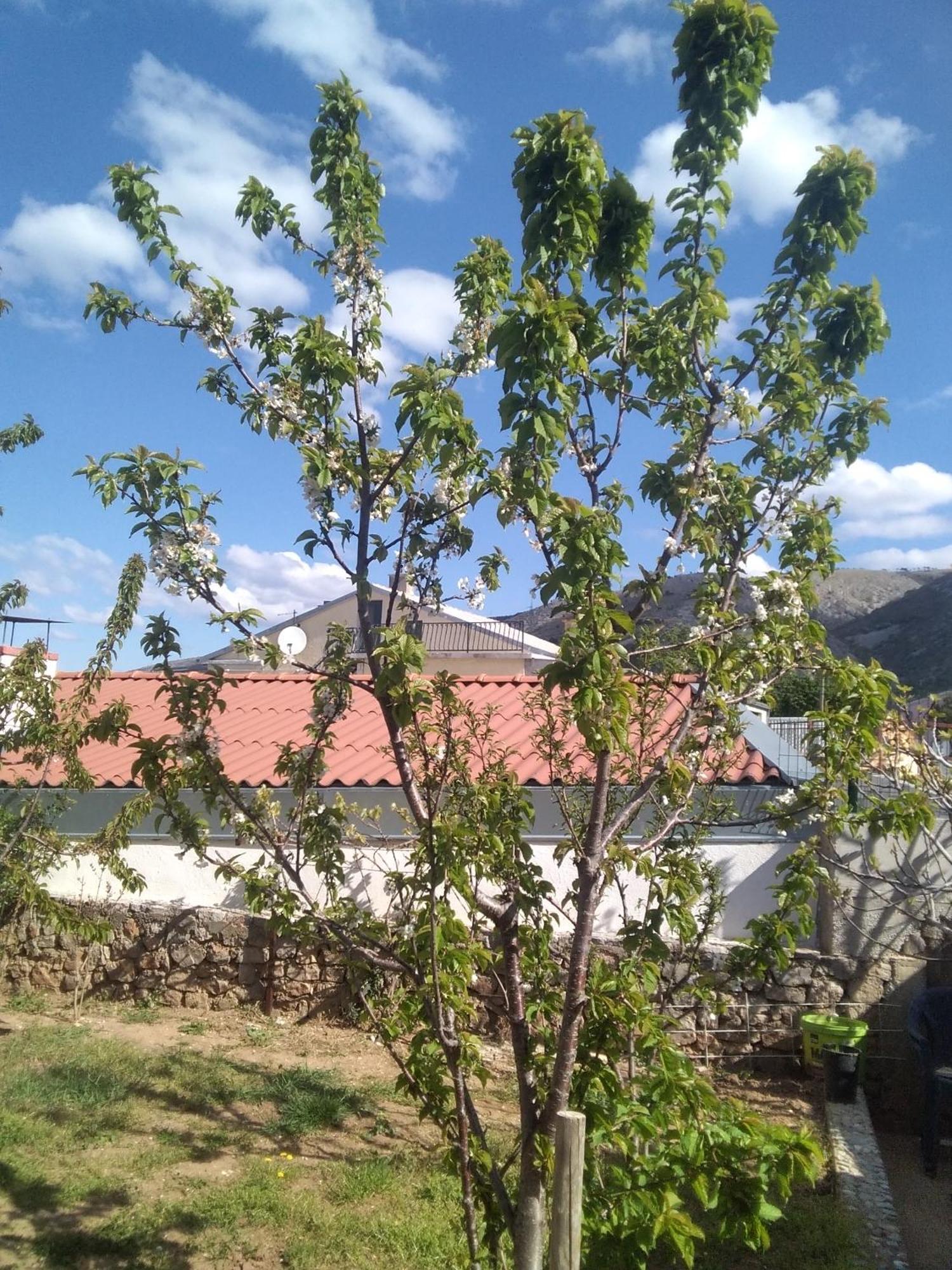Guesthouse Martina Senj  Exterior foto